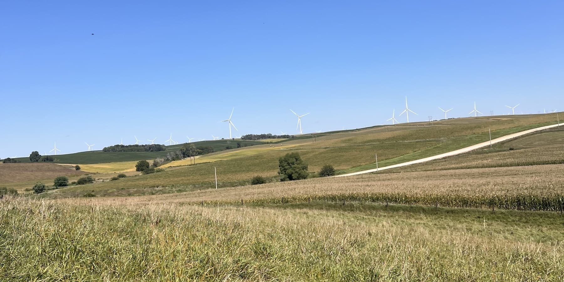 Rolling Iowa farmland with wind turbines on the horizon under a clear blue sky